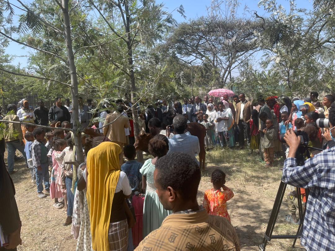 Executive committee and architects conducting site inspection to review construction progress